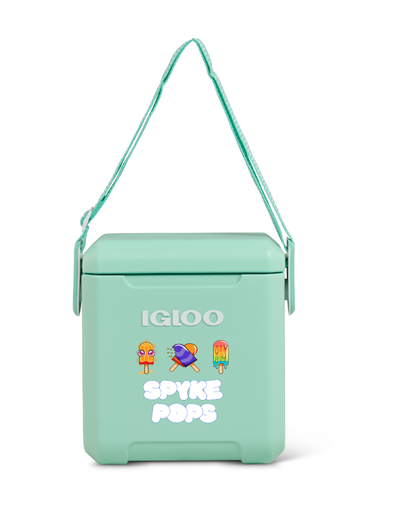 Igloo Tag-A-Long Too Cooler